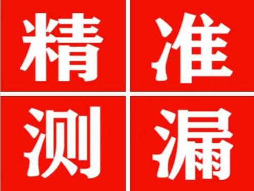 苍溪尚嘉漏水精准查找