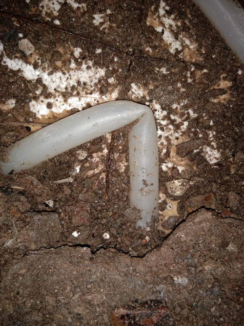 苍溪堵点精准查找